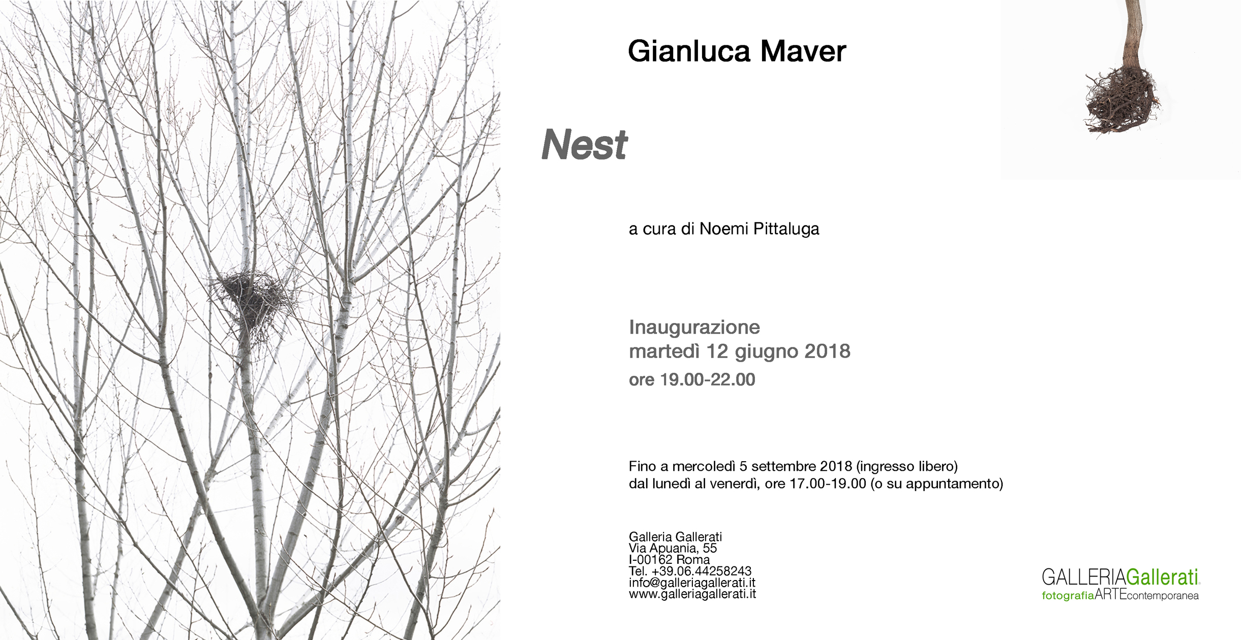 G.MAVER_Nest_INVITO.jpg