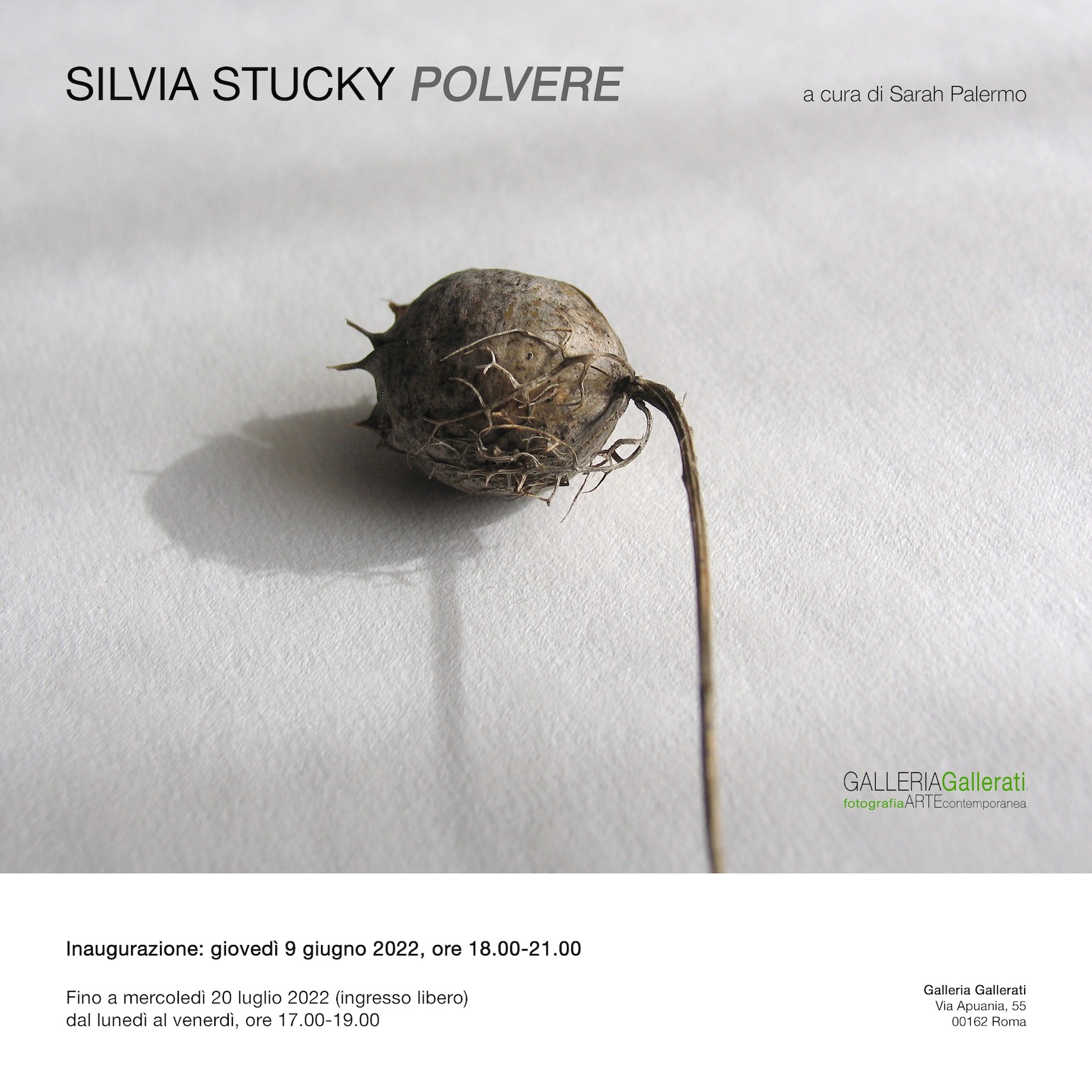 S.STUCKY_Polvere_INVITO